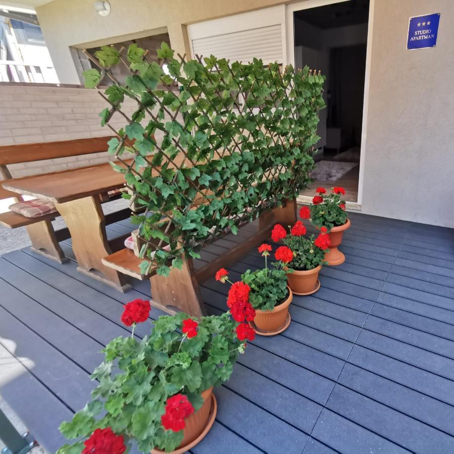 Tiktok Zadar Exterior foto